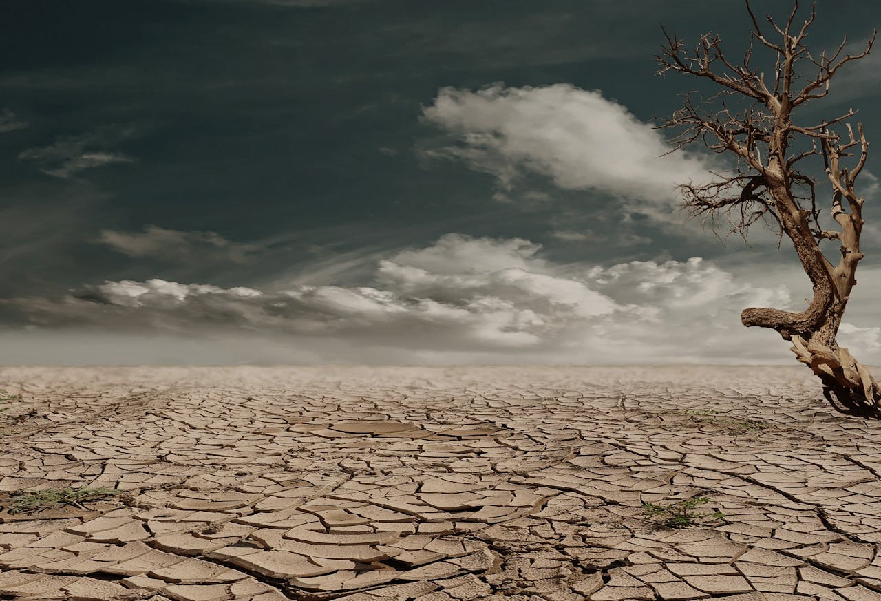 Modulul 1: Criza climatică – Înțelegere, Impact și Acțiune